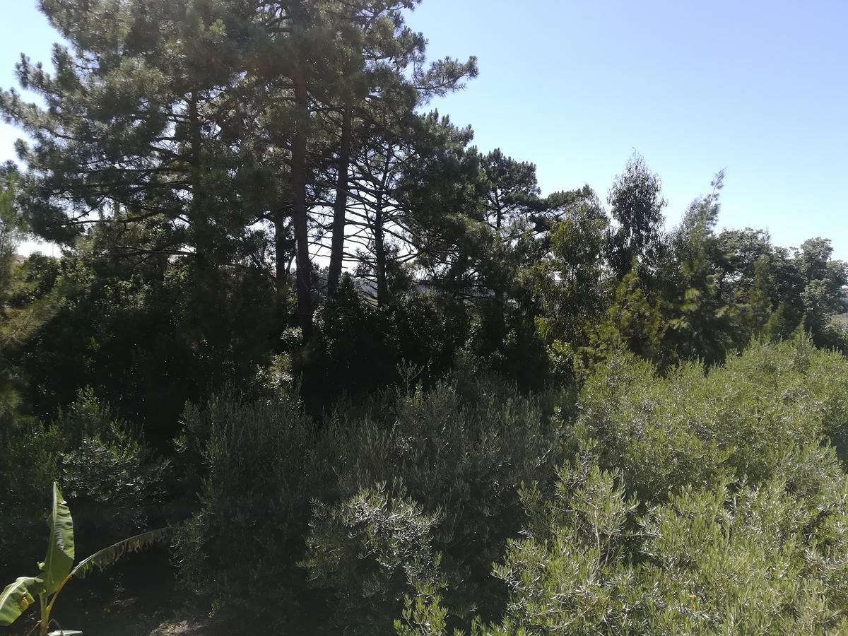 Вилла Quinta Vale Real Алкобаса Экстерьер фото