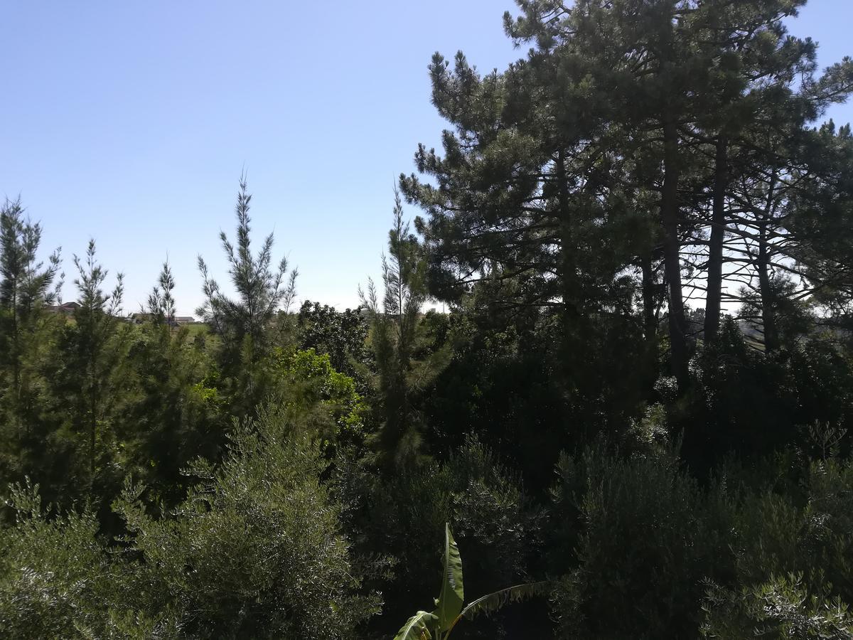Вилла Quinta Vale Real Алкобаса Экстерьер фото