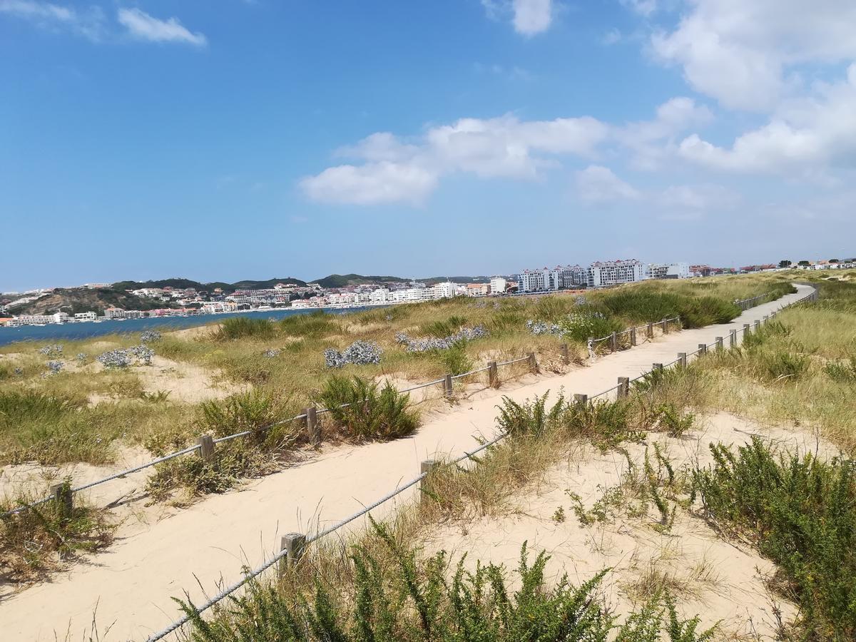 Вилла Quinta Vale Real Алкобаса Экстерьер фото